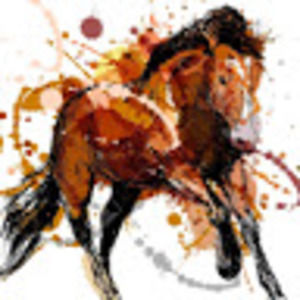 Meet your Posher, Ann